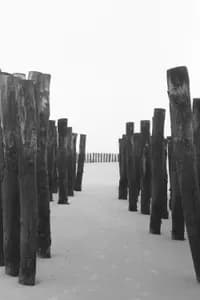 beach_melancholy_05