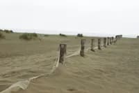 beach_melancholy_23