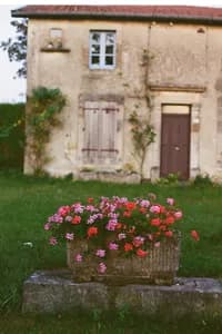 countryside_daydream_53