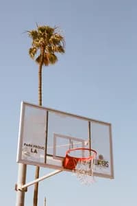 lockdown_summer_36