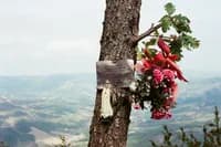 countryside_daydream_64