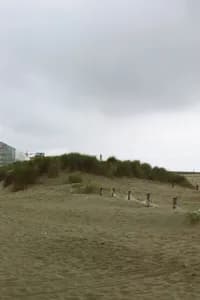 beach_melancholy_11