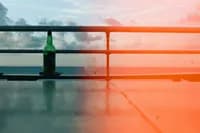 lockdown_summer_32