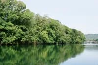 countryside_daydream_11