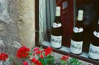 countryside_daydream_39