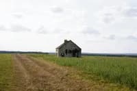 countryside_daydream_01