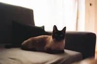 grandmas_house_11
