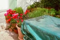 grandmas_house_23