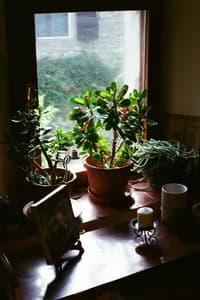 grandmas_house_32