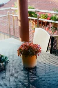 grandmas_house_06