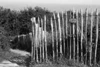 beach_melancholy_29