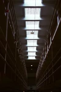 americana_lane_53
