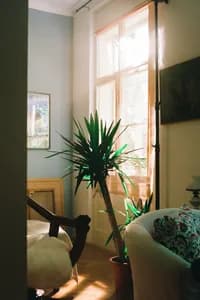 grandmas_house_07