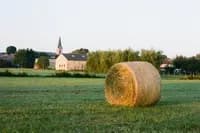 countryside_daydream_24