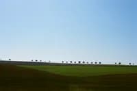 countryside_daydream_31